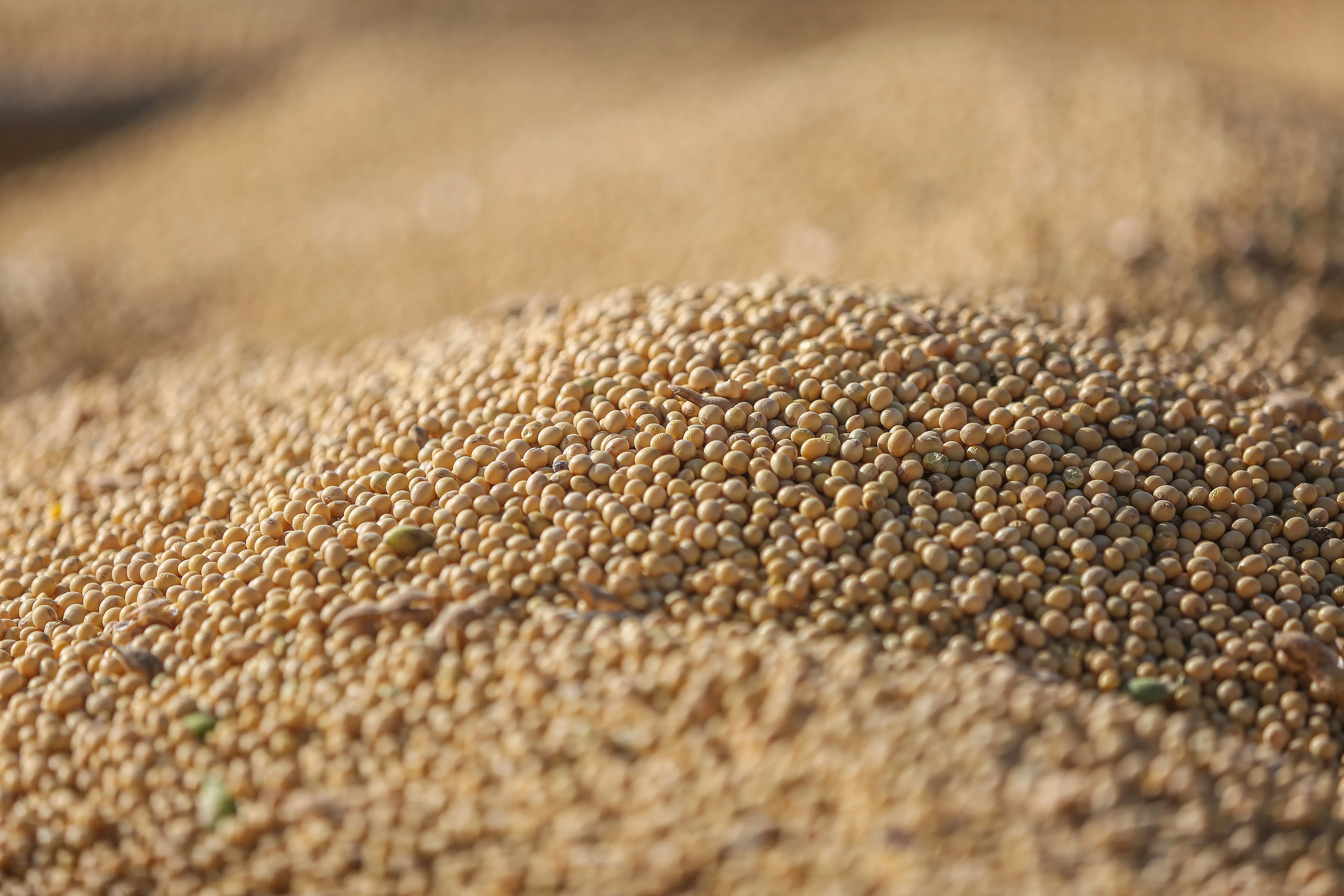 Boletim Técnico 3 - A soja e o Paraná na engrenagem do agro global