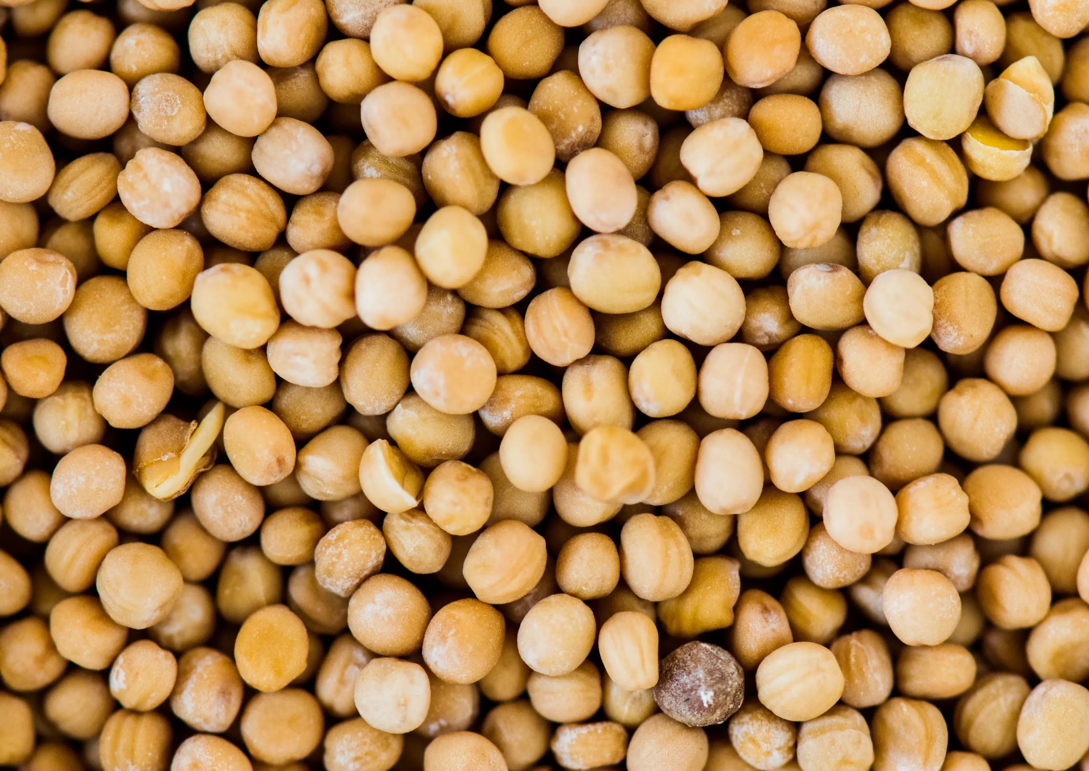 Paraná consolida protagonismo no agronegócio nacional, aponta Observatório de Indicadores da SRP