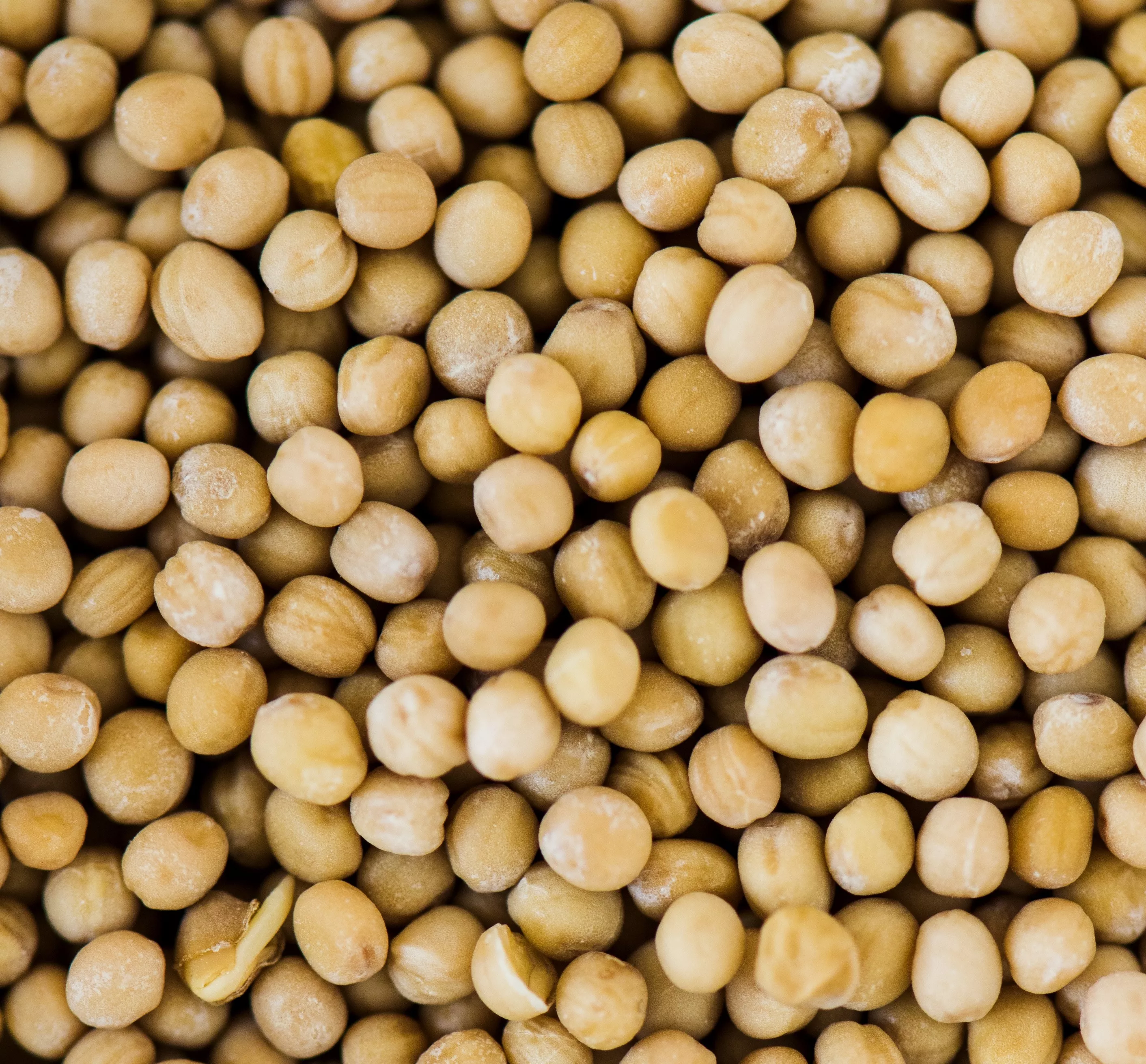 Paraná consolida protagonismo no agronegócio nacional, aponta Observatório de Indicadores da SRP